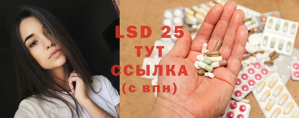 гашик Липки