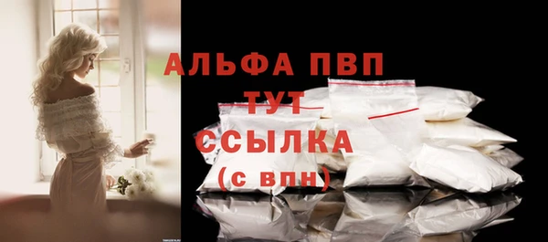 гашик Липки