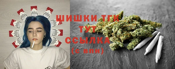 гашик Липки