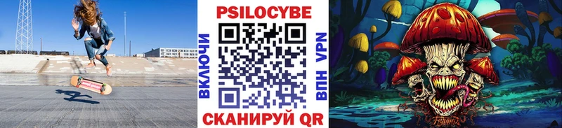Псилоцибиновые грибы Psilocybe  Черняховск 