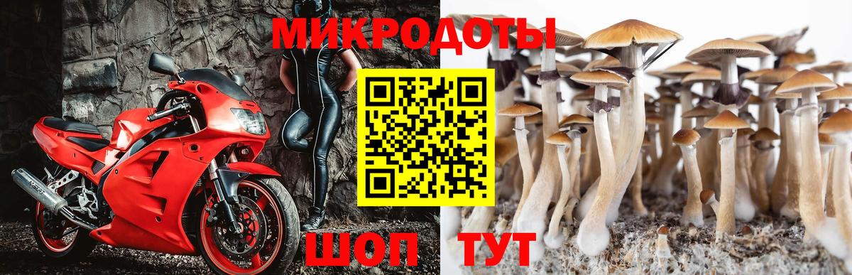 Галлюциногенные грибы прущие грибы Черняховск