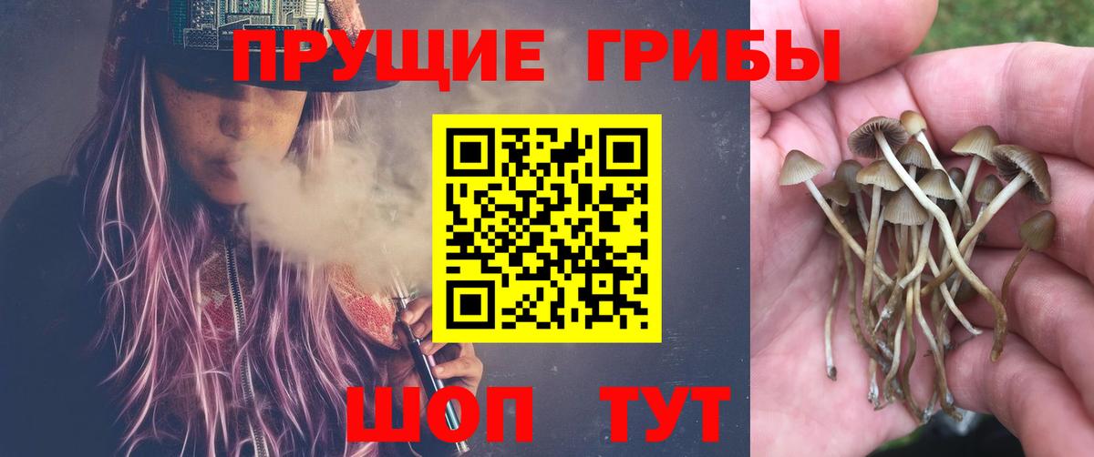 Псилоцибиновые грибы прущие грибы Черняховск